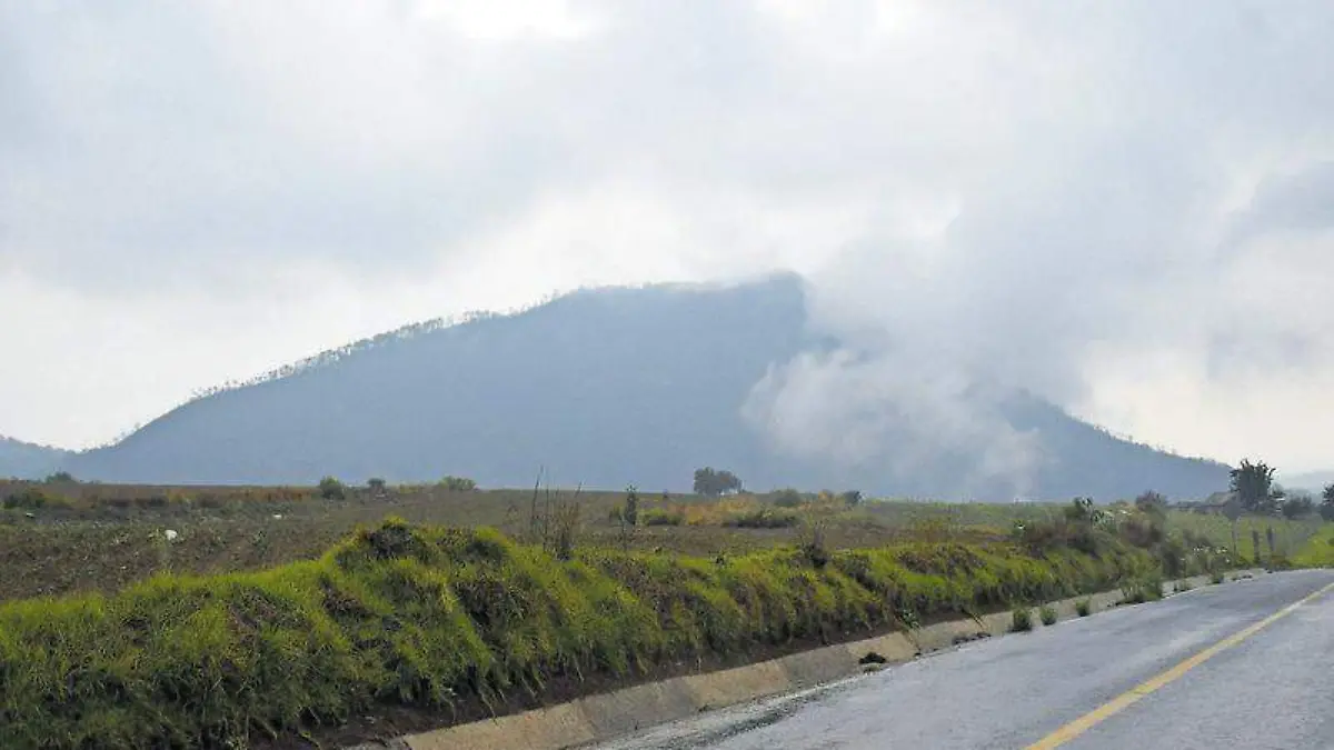 bosques del Tlacaxolo en Terrenate